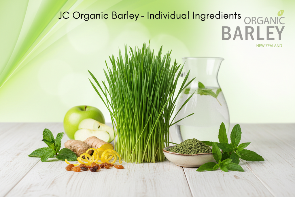 JC Organic Barley Juice (1x10sticks)